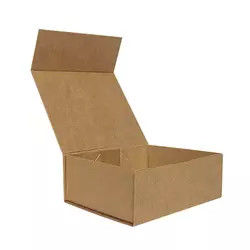 Mailing Delivery Shoe Packaging Boxes Custom Printed Corrugated Mailer Box