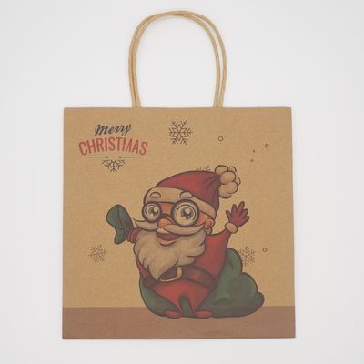 Environmental Friendly Custom Brown Paper Bags Portable Recycled