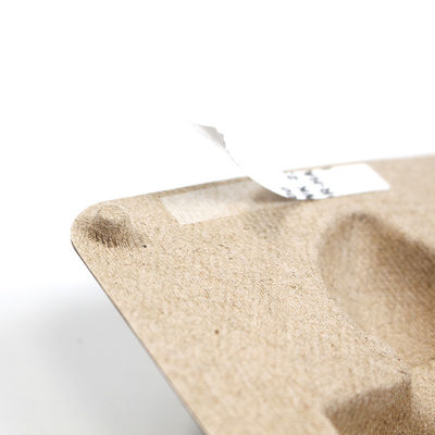 Paper Biodegradable Molded Pulp Tray Packaging With Lid for Moisturizer Face Cream