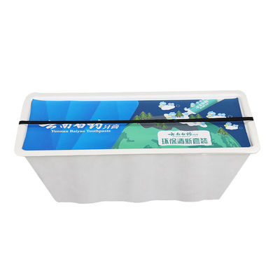 Sugarcane Bagasse / Paper Molded Pulp Tray Box Biodegradable Toothpaste Toothbrush Insert