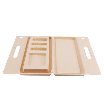 Custom Design Biodegradable Paper Molded Pulp Tray Box For Lipstick Cosmetics Packaging