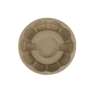Takeaway Paper Molded Pulp Packaging Tray Custom Biodegradable Food Grade
