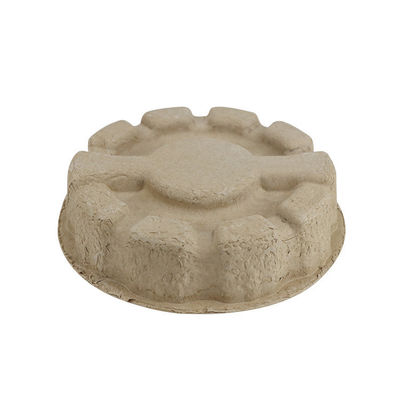Takeaway Paper Molded Pulp Packaging Tray Custom Biodegradable Food Grade
